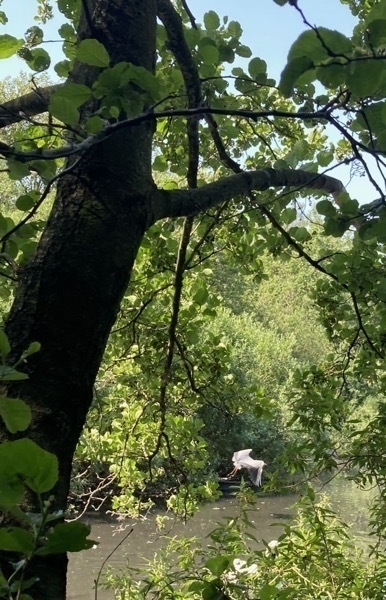 a heron flying over water 