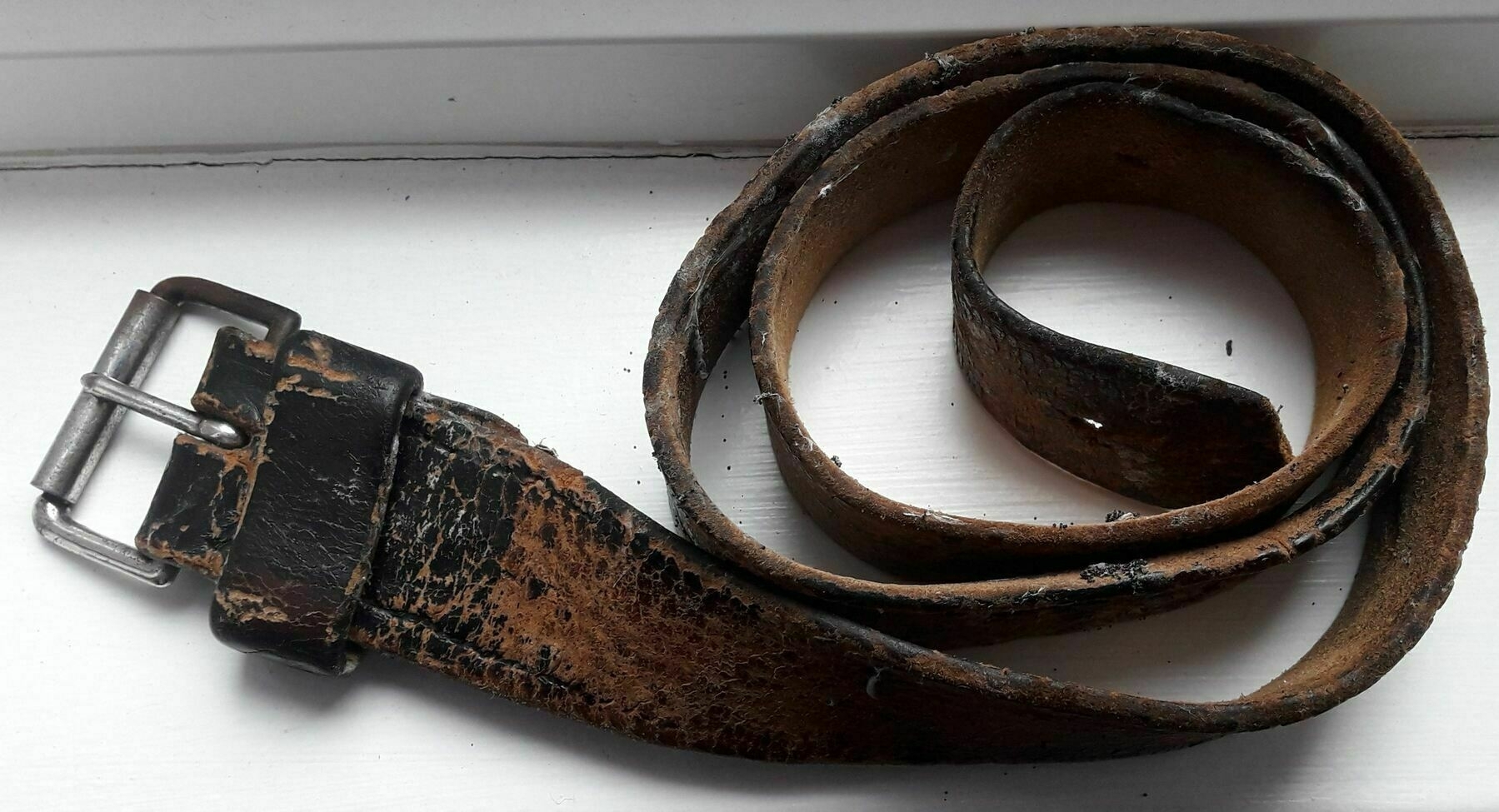 An old leather belt coiled