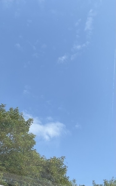 Blue sky and light cloud above the trees in Manchester July 24th 2023