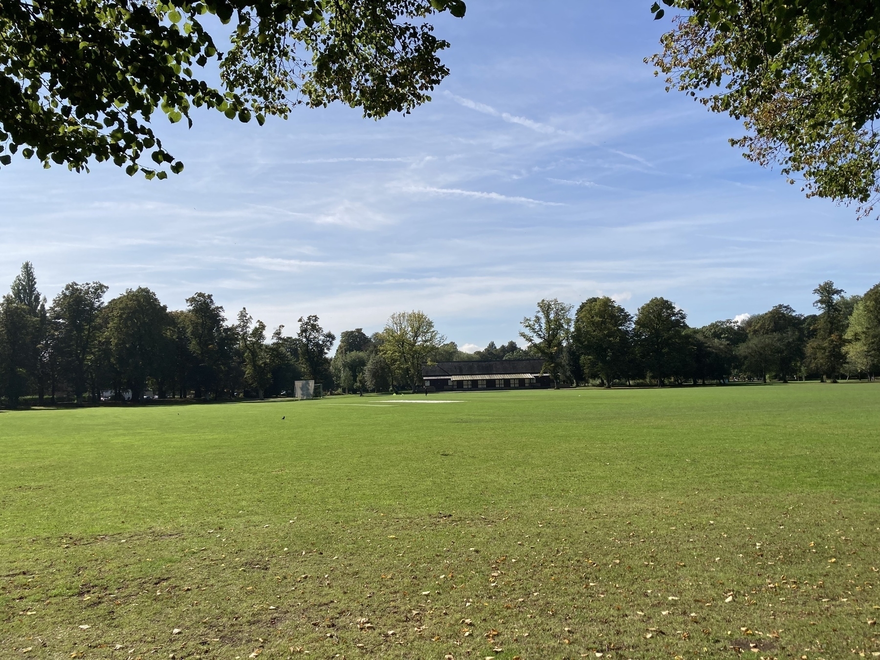 A large, open grassy field , with a cricket pitch in the centre, is bordered by trees under a clear blue sky.