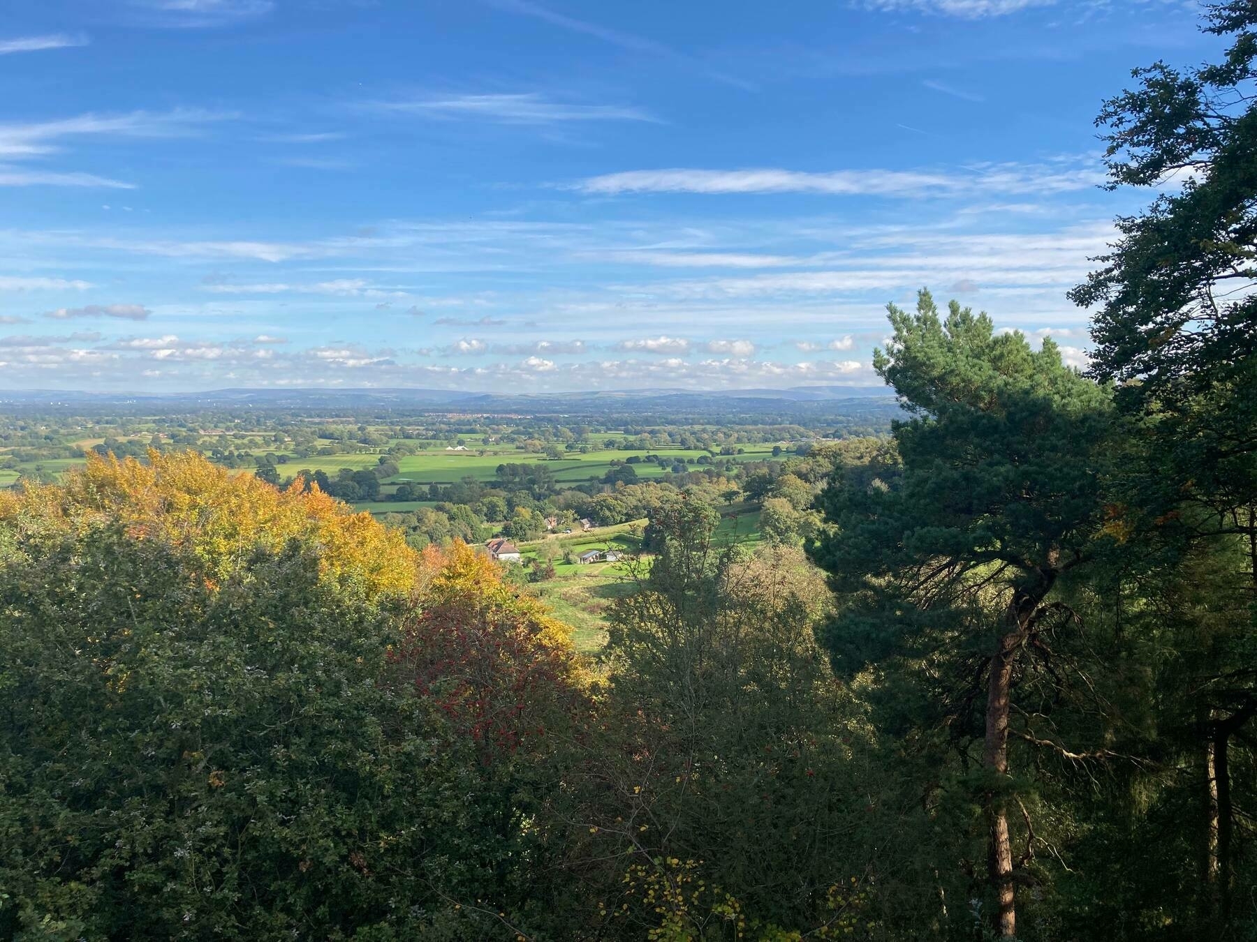 An elevated view across tree tops to hills on the horizon beneath a blue sky with light white clouds.